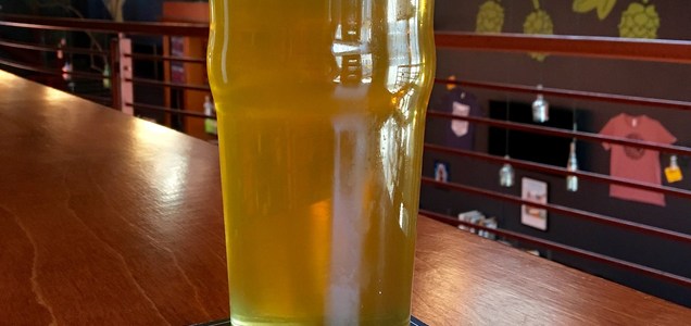 Social Kitchen & Brewery
