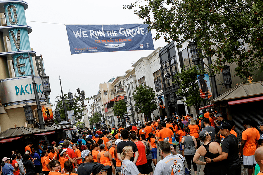 The Grove
