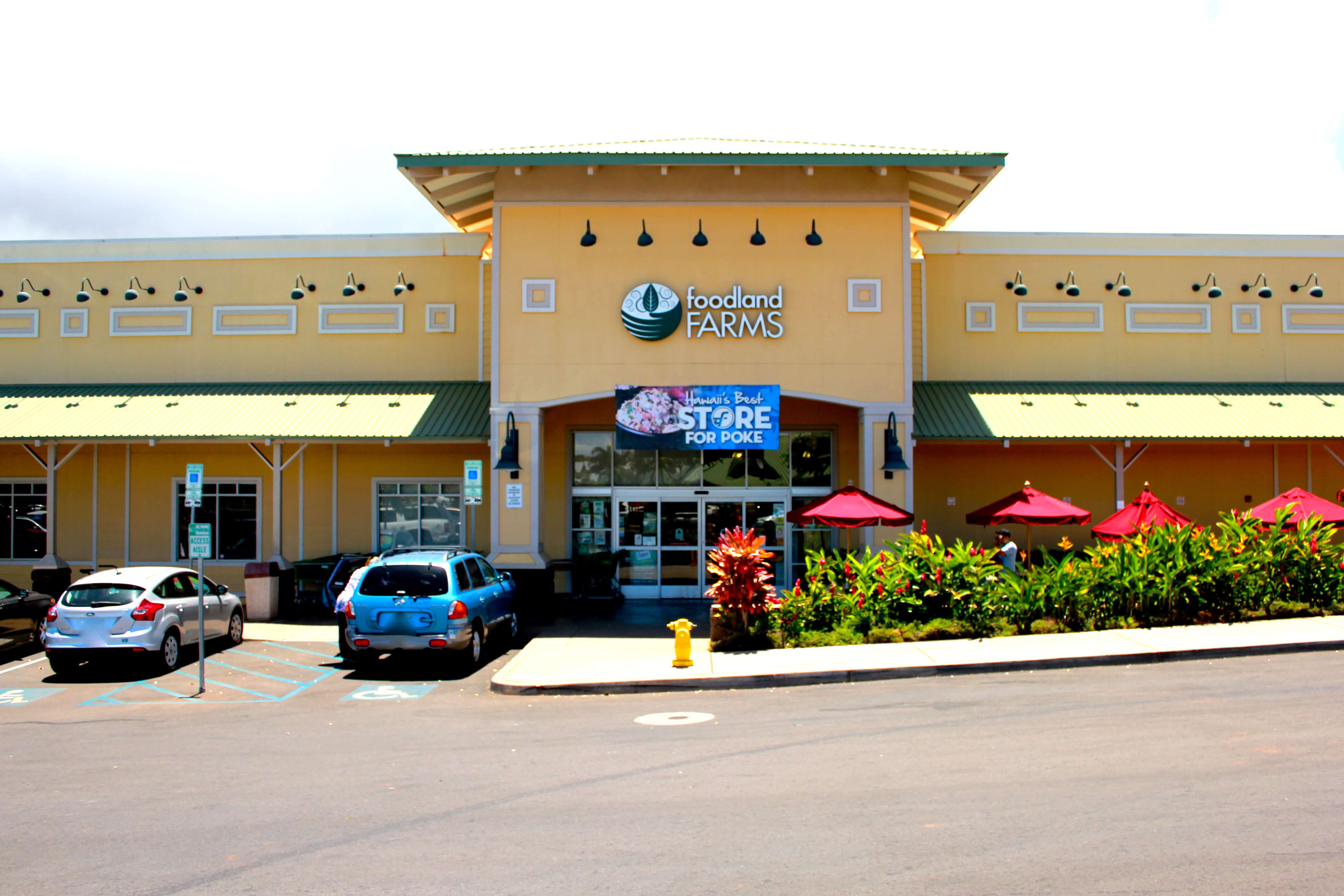 Foodland Farms